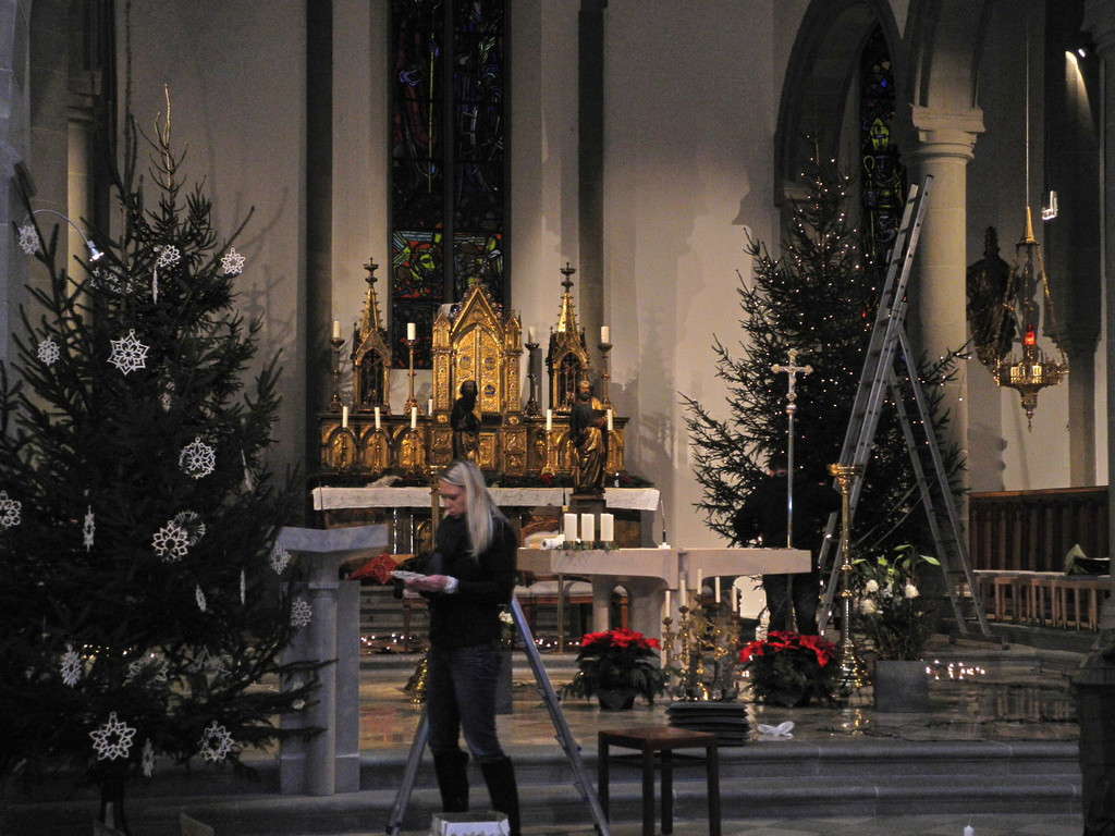 DSCN8989_jpg-1324315394