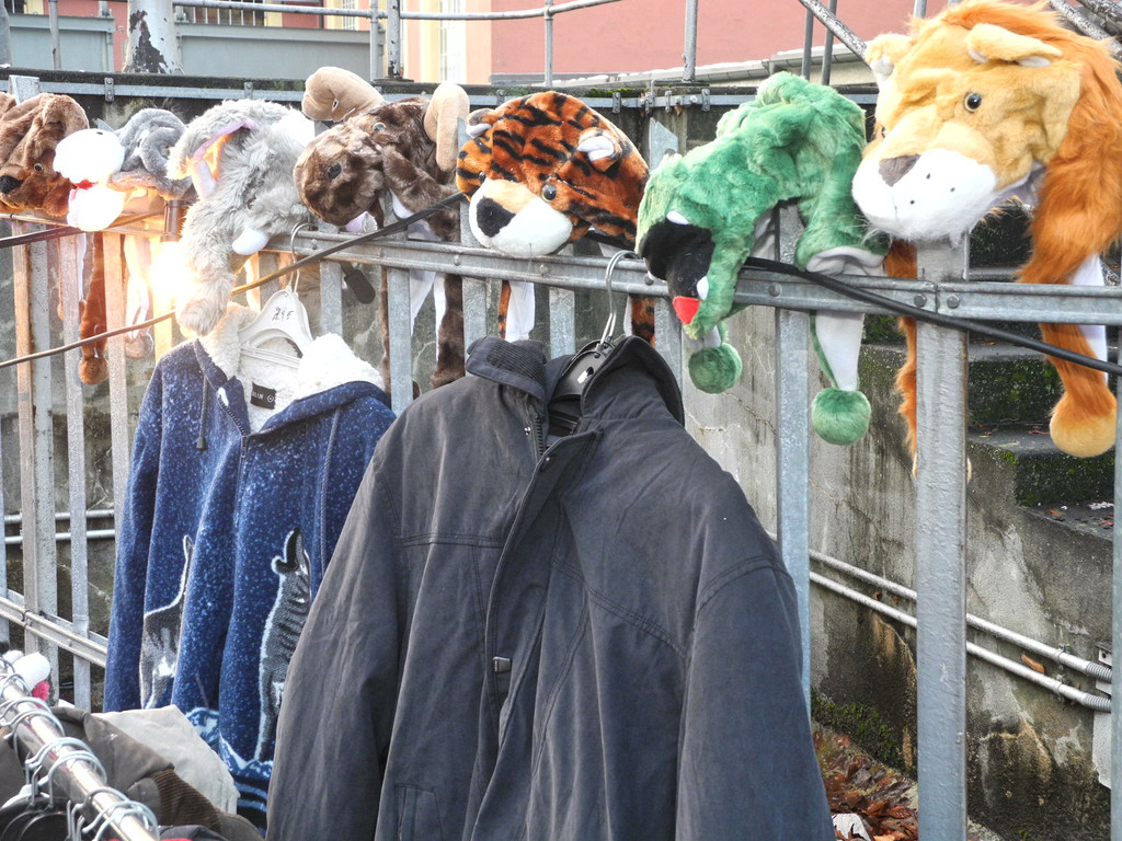 DSCN8965_jpg-1324316342