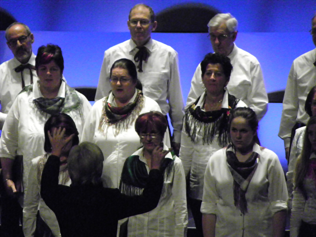 113_4649_JPG-1324337874