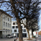 Schulhof SPZ/VS Dornbirn Markt