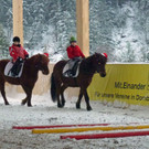 Ebnit Weihnachtsreiten_0023_bearbeitet-1_jpg-1324376612