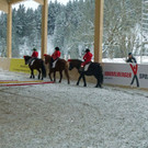 Ebnit Weihnachtsreiten_0028_bearbeitet-1_jpg-1324376617