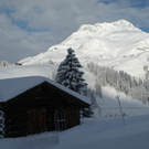 DSC_0005.JPG