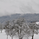 DSC_0011_.jpg