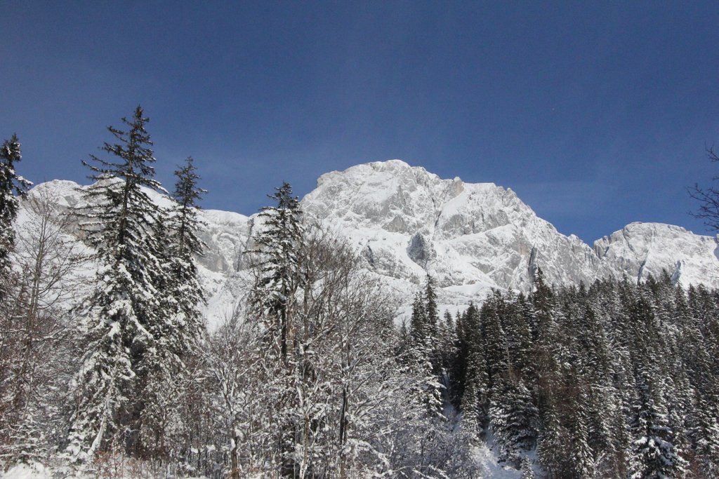 201211wintergmaktivnews16.JPG