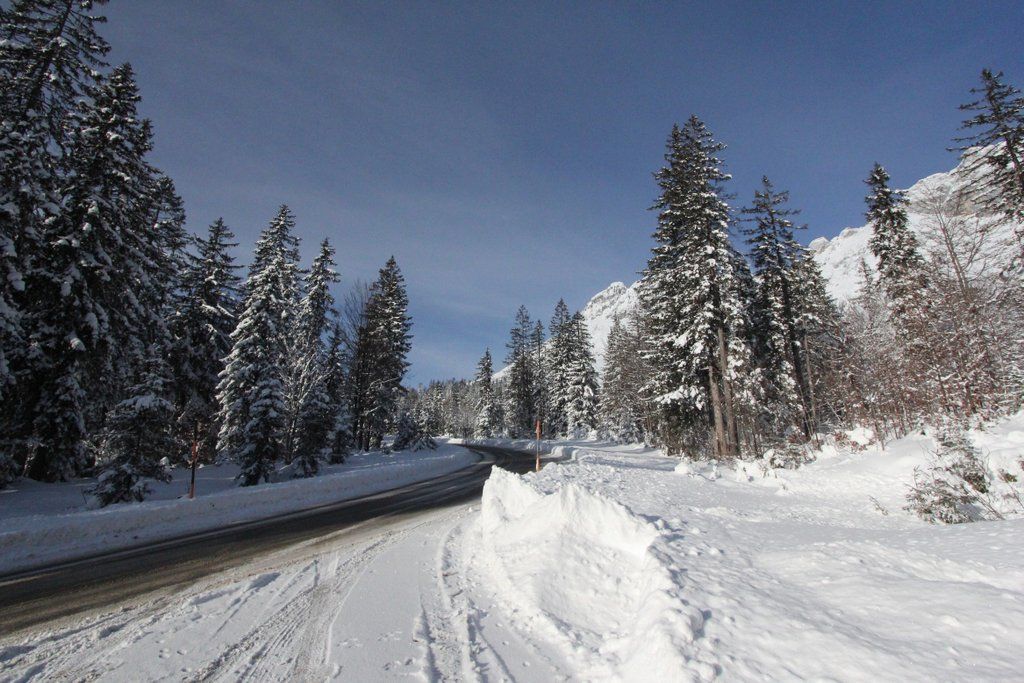 201211wintergmaktivnews17.JPG