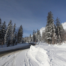 201211wintergmaktivnews17.JPG