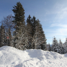 201211wintergmaktivnews25.JPG