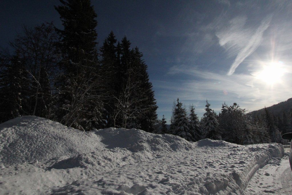 201211wintergmaktivnews22.JPG