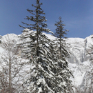 201211wintergmaktivnews14.JPG