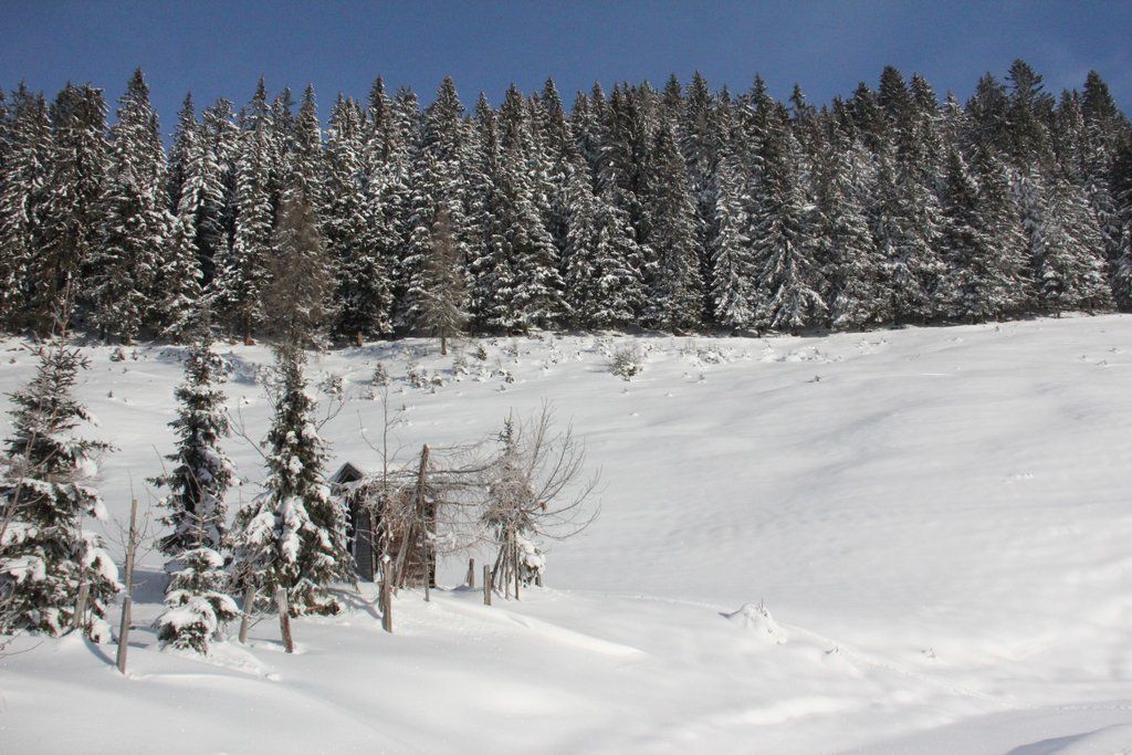 201211wintergmaktivnews11.JPG