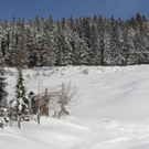 201211wintergmaktivnews11.JPG