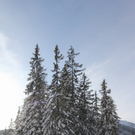 201211wintergmaktivnews36.JPG