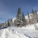 201211wintergmaktivnews30.JPG