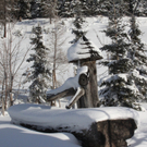 201211wintergmaktivnews01.JPG