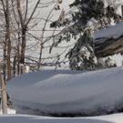 201211wintergmaktivnews03.JPG