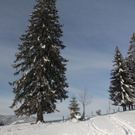201211wintergmaktivnews06.JPG