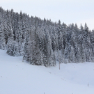 201211wintergmaktivnews12.JPG