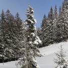 201211wintergmaktivnews04.JPG