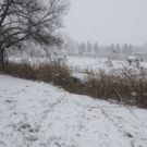 IMG_5308.JPG