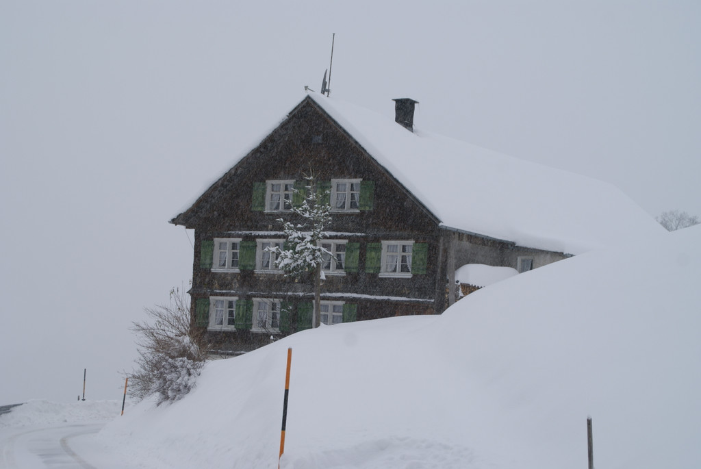 DSC03172.JPG