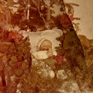 Christa unter dem Christbaum_jpg-1324388073