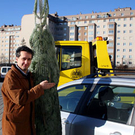 Christbaum nach Hause transportieren