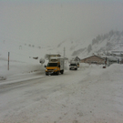Foto3.JPG
