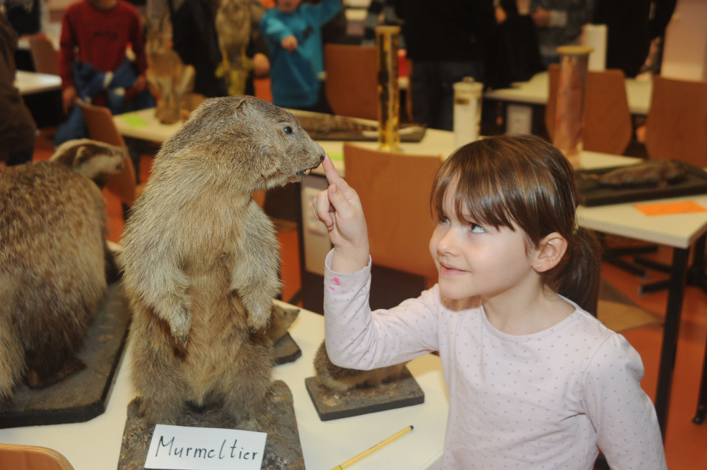 BG_ToT10 _53__jpg-1324483547