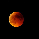 mond-apa.JPG