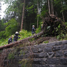 hagel-unwetter2-an.JPG