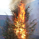 Christbaumbrand
