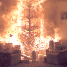 Christbaum4-400.jpg