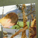 113_4666_JPG-1324511800