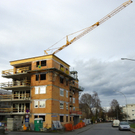 113_4618_JPG-1324514504