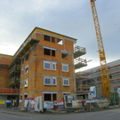 113_4630_JPG-1324514582