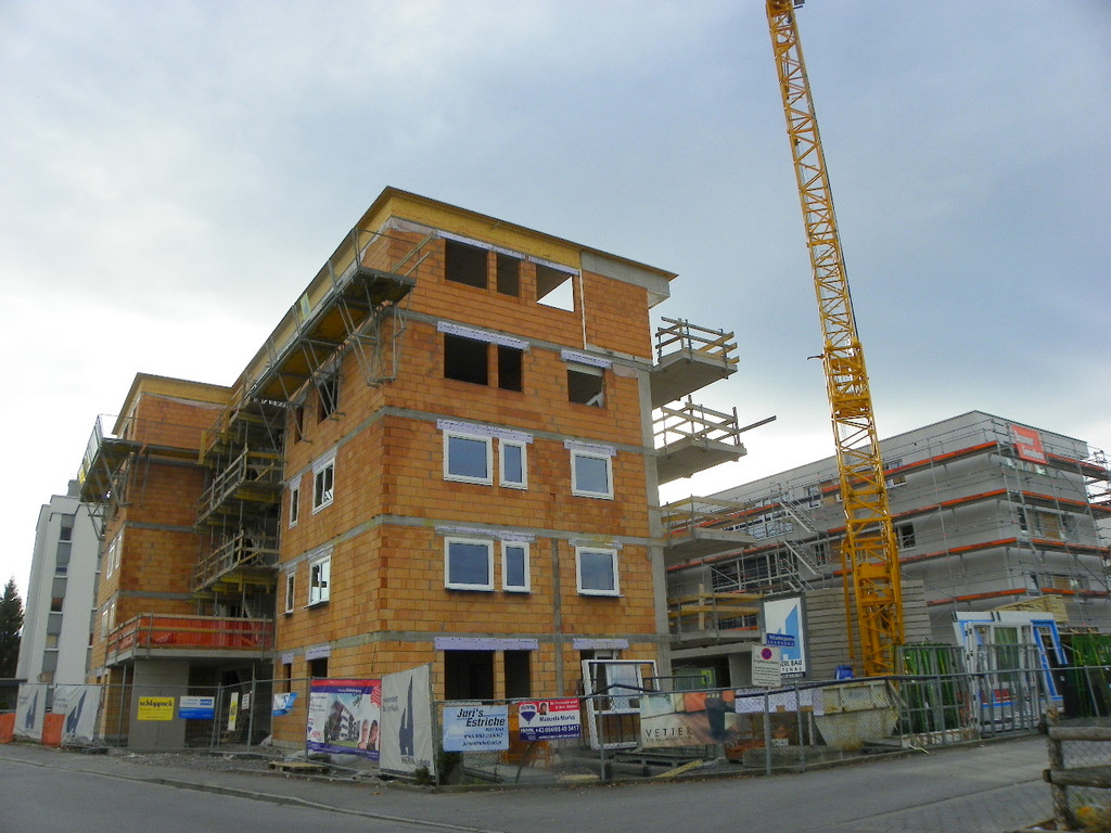 113_4630_JPG-1324514582