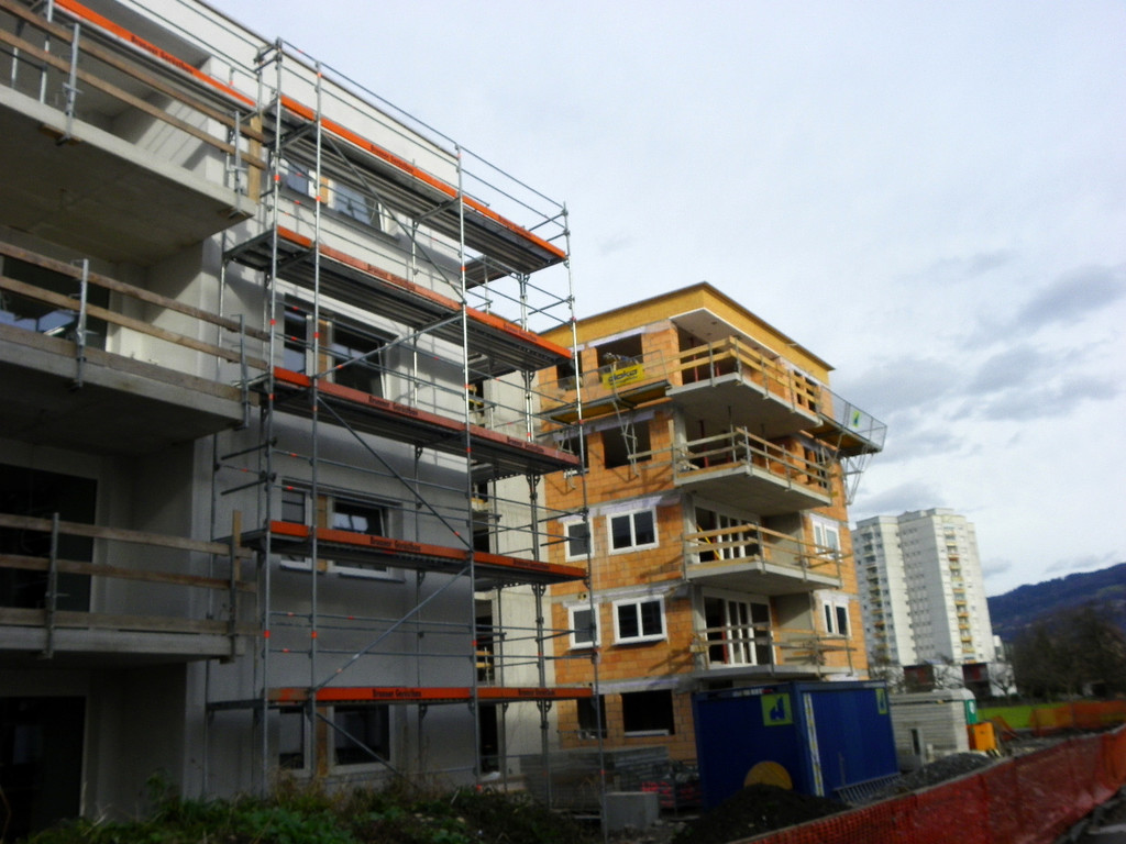 113_4625_JPG-1324514540