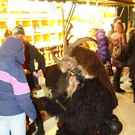 normal_21122011fmt_perchtenaltstadt_ta_013.jpg