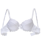 Palmers_Delicate Lace_BH-gepadded_weiss.jpg