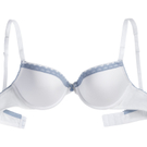 Palmers_Pure Spring_BH-gepadded.jpg