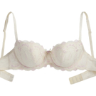 Palmers_Rose Dawn_BH-gepadded.jpg