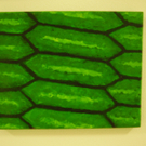 PC090234.JPG