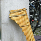 113_4569_JPG-1324601537