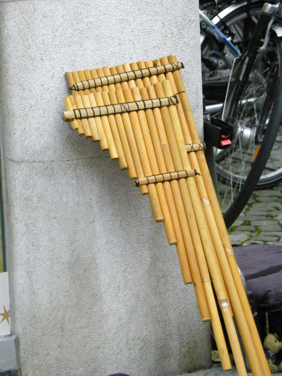 113_4569_JPG-1324601537