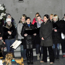 113_5141_JPG-1324601886