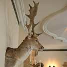 Wachtelhof_4.jpg