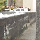 DSC_3779.jpg