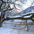 014_bearbeitet-1.jpg
