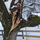 017_bearbeitet-1.jpg